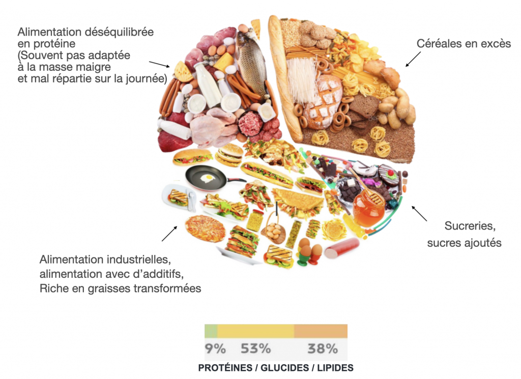 La quantité de lipides et les types de nutriments varient d'un